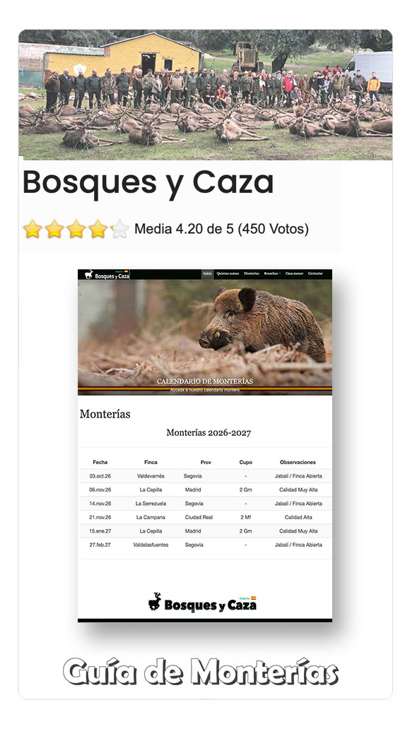  Programas de Monterias 